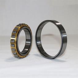 Cylindrical Roller Bearing