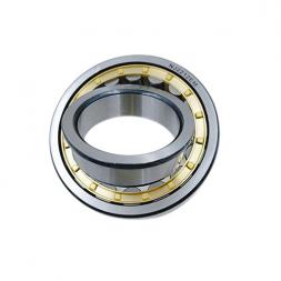 NJ2212EM Cylindrical Roller Bearing 