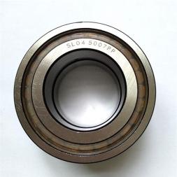 SL04-5007PP Cylindrical Roller Bearing    