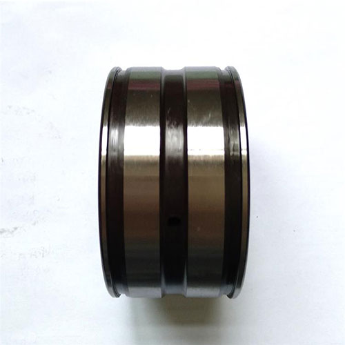 SL04-5007PP Cylindrical Roller Bearing    