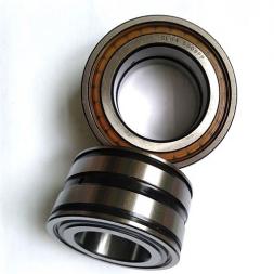 SL04 5009pp Cylindrical Roller Bearing    