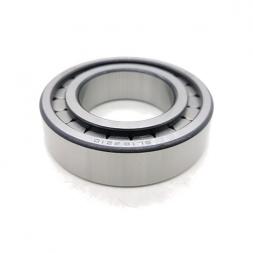 SL182210 Cylindrical Roller Bearing     